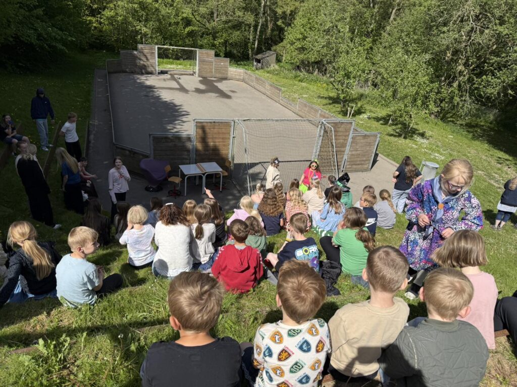 Om skolen